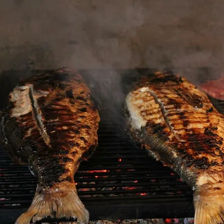 아파트 Sonja 피사크