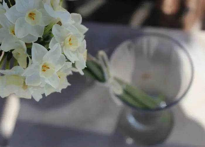 Apartman Sonja Pisak